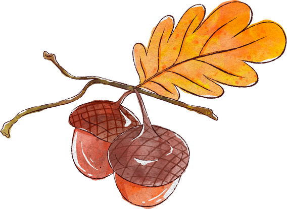Splotchy Watercolor Fall Acorns